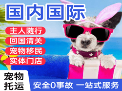 白塔机场托运国际宠物托运 【国